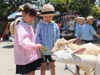 一日動物村